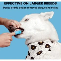 Set Di Spazzolini Da Dito, Design Ergonomico, Setole Avvolgenti Per Una Facile Pulizia Dei Denti, Cure Dentistiche -Pulizia Della Casa 73334986 4