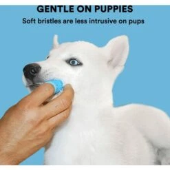 Set Di Spazzolini Da Dito, Design Ergonomico, Setole Avvolgenti Per Una Facile Pulizia Dei Denti, Cure Dentistiche -Pulizia Della Casa 73334986 5